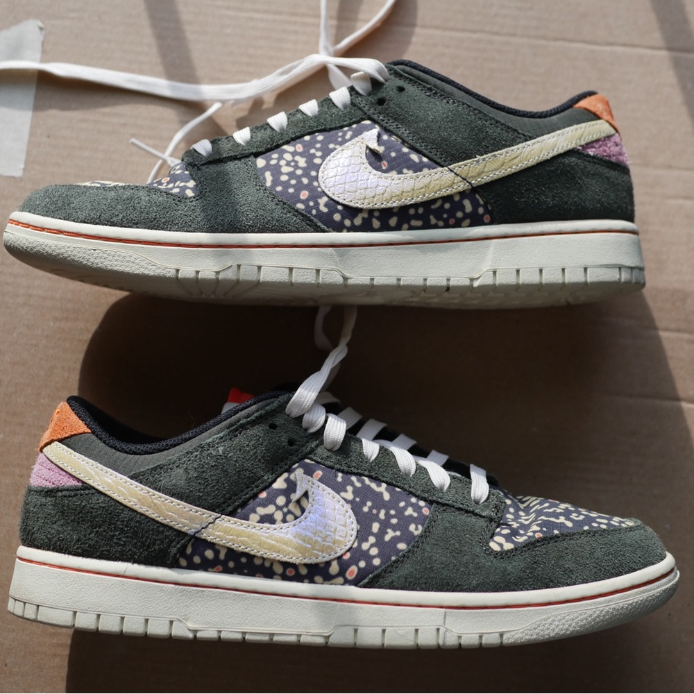 Nike Dunk low retro SE 2 (rainbow trout)